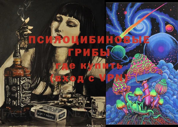соль ск Новозыбков