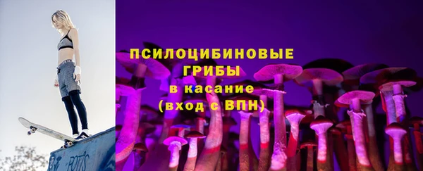 эйфоретик Вяземский