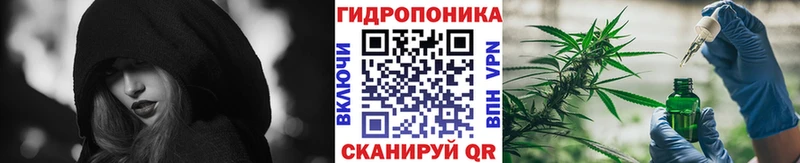 Марихуана гибрид  Мышкин 